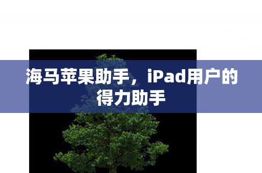 海马苹果助手，iPad用户的得力助手