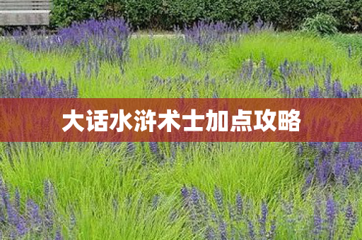 大话水浒术士加点攻略