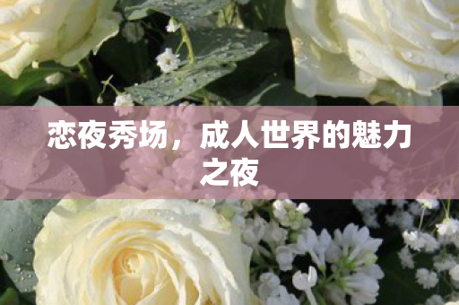 恋夜秀场，成人世界的魅力之夜