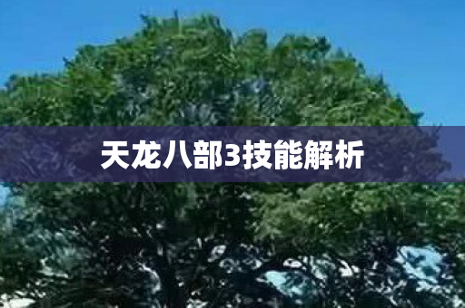 天龙八部3技能解析