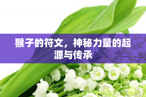 猴子的符文，神秘力量的起源与传承