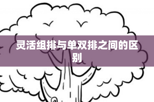 灵活组排与单双排之间的区别