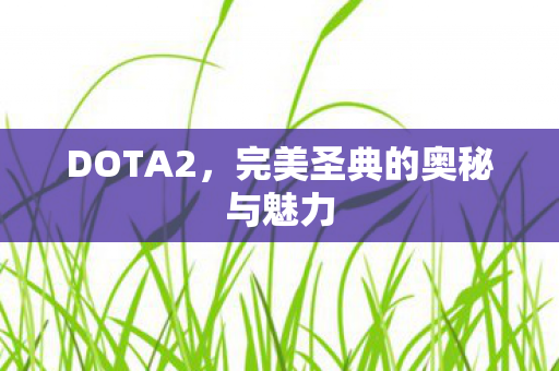 DOTA2，完美圣典的奥秘与魅力