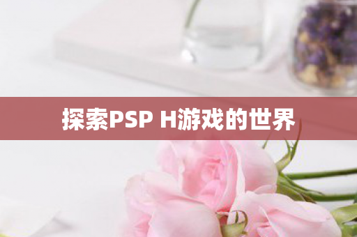 探索PSP H游戏的世界