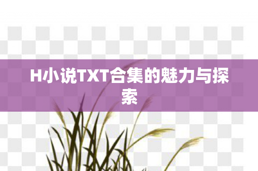 H小说TXT合集的魅力与探索