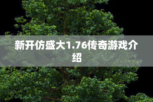 新开仿盛大1.76传奇游戏介绍