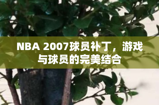 NBA 2007球员补丁，游戏与球员的完美结合