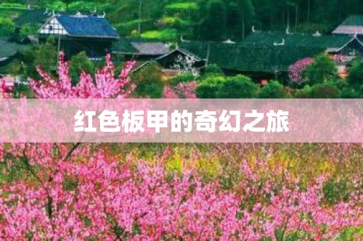 红色板甲的奇幻之旅