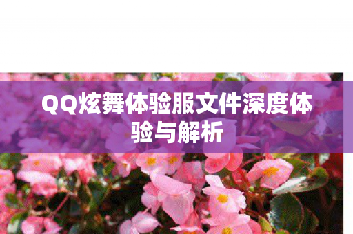 QQ炫舞体验服文件深度体验与解析