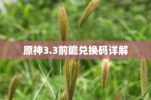 原神3.3前瞻兑换码详解