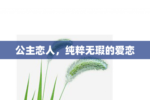 公主恋人，纯粹无瑕的爱恋