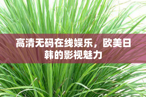 高清无码在线娱乐，欧美日韩的影视魅力