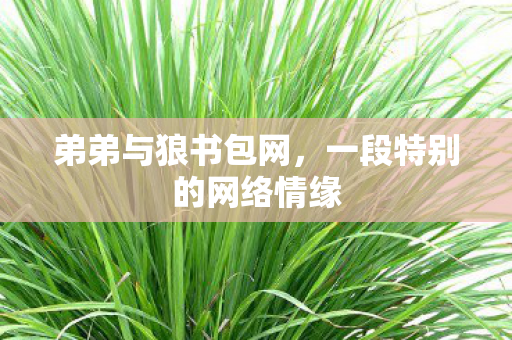 弟弟与狼书包网，一段特别的网络情缘