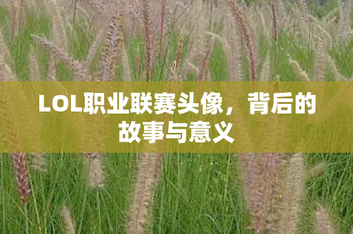 LOL职业联赛头像，背后的故事与意义