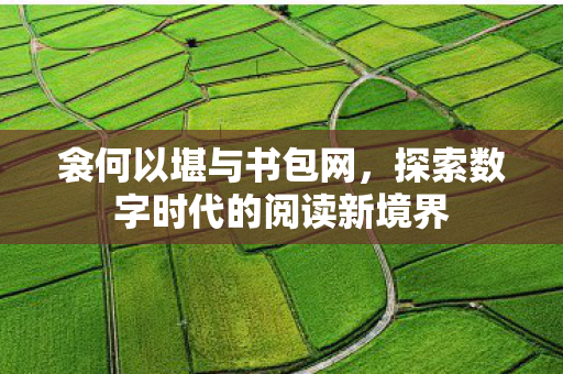 衾何以堪与书包网，探索数字时代的阅读新境界