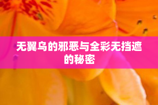 无翼乌的邪恶与全彩无挡遮的秘密