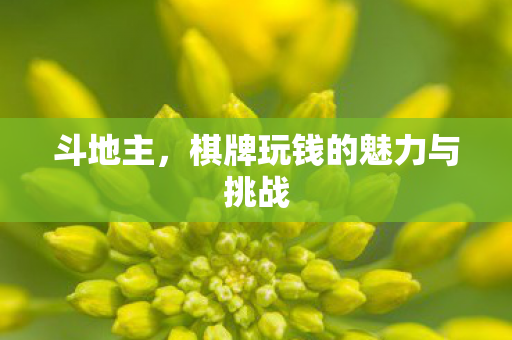 斗地主，棋牌玩钱的魅力与挑战