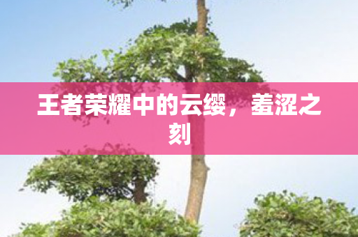 王者荣耀中的云缨，羞涩之刻