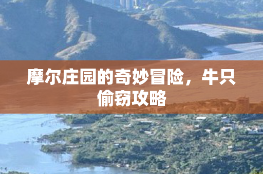 摩尔庄园的奇妙冒险，牛只偷窃攻略