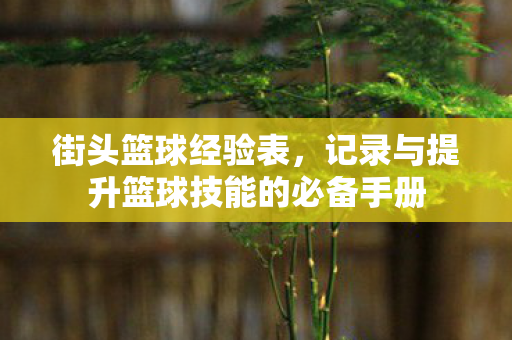 街头篮球经验表，记录与提升篮球技能的必备手册
