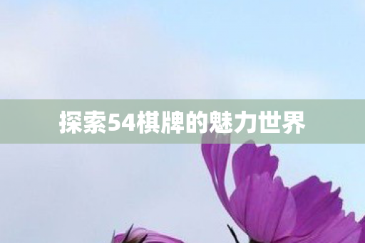 探索54棋牌的魅力世界