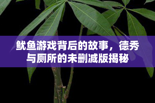 鱿鱼游戏背后的故事，德秀与厕所的未删减版揭秘
