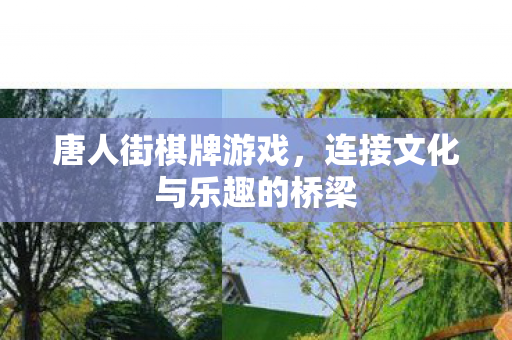 唐人街棋牌游戏，连接文化与乐趣的桥梁