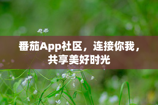 番茄App社区，连接你我，共享美好时光