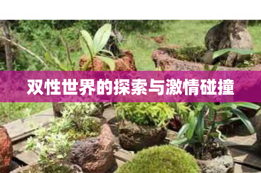 双性世界的探索与激情碰撞