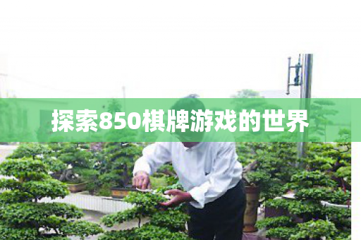 探索850棋牌游戏的世界