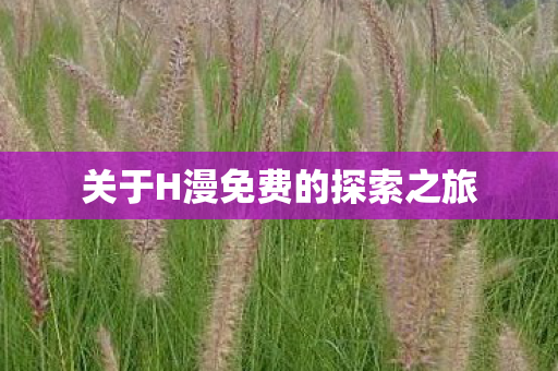 关于H漫免费的探索之旅