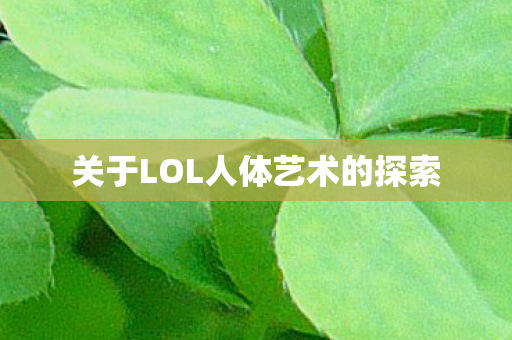 关于LOL人体艺术的探索