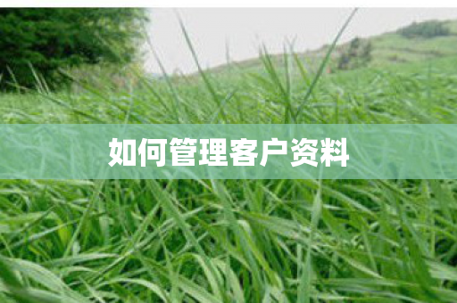 如何管理客户资料