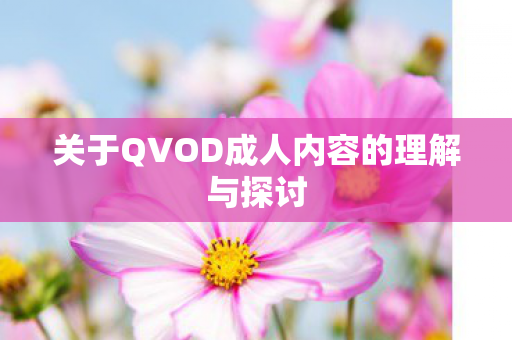 关于QVOD成人内容的理解与探讨
