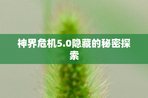 神界危机5.0隐藏的秘密探索