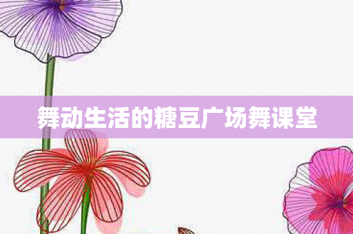 舞动生活的糖豆广场舞课堂