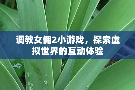 调教女佣2小游戏，探索虚拟世界的互动体验