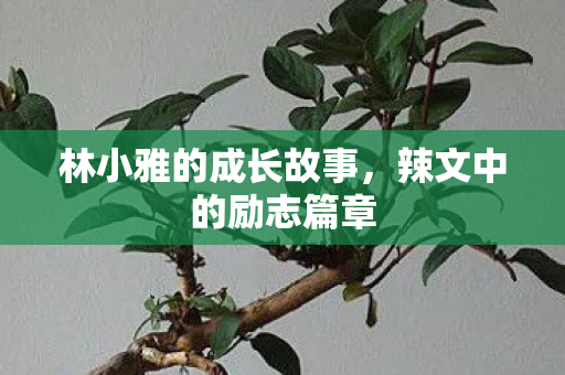 林小雅的成长故事，辣文中的励志篇章