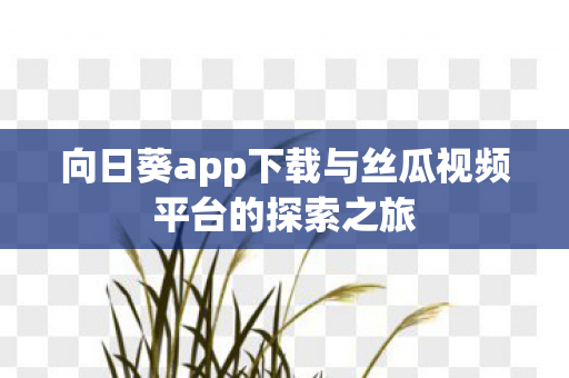 向日葵app下载与丝瓜视频平台的探索之旅