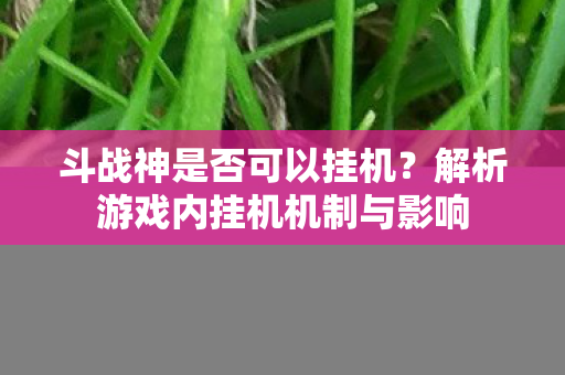 斗战神是否可以挂机？解析游戏内挂机机制与影响