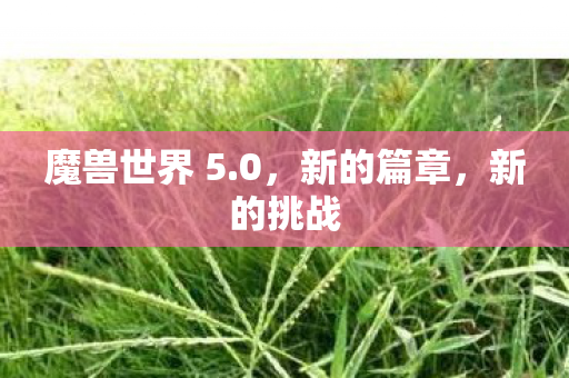 魔兽世界 5.0，新的篇章，新的挑战