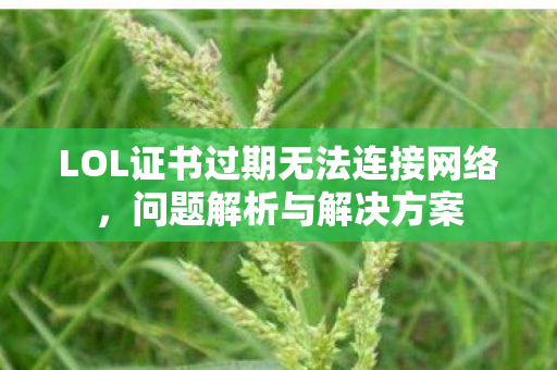 LOL证书过期无法连接网络，问题解析与解决方案