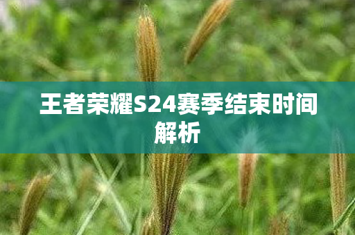 王者荣耀S24赛季结束时间解析