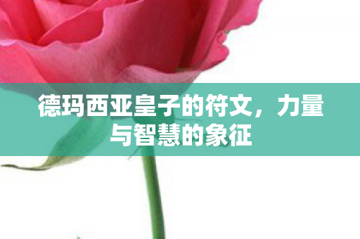 德玛西亚皇子的符文，力量与智慧的象征