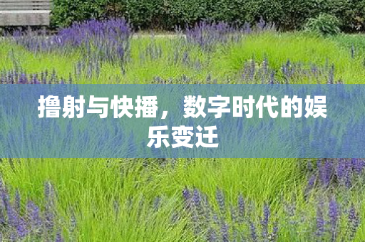 撸射与快播，数字时代的娱乐变迁