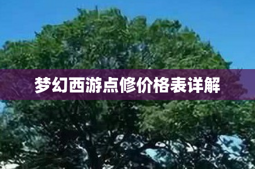 梦幻西游点修价格表详解