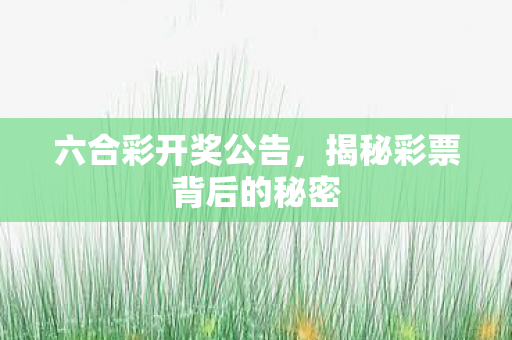 六合彩开奖公告，揭秘彩票背后的秘密