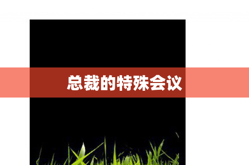 总裁的特殊会议