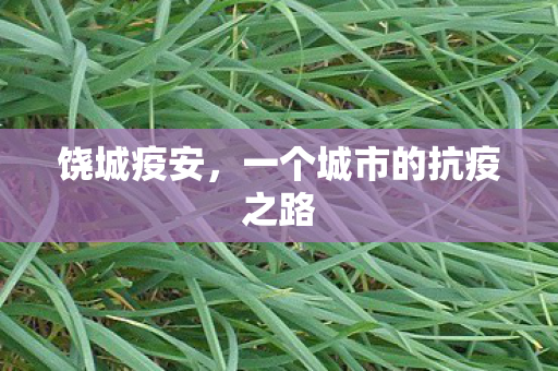 饶城疫安，一个城市的抗疫之路