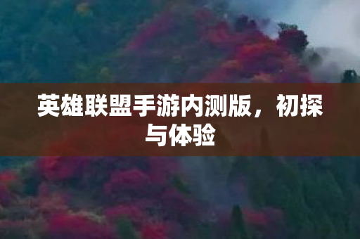 英雄联盟手游内测版，初探与体验